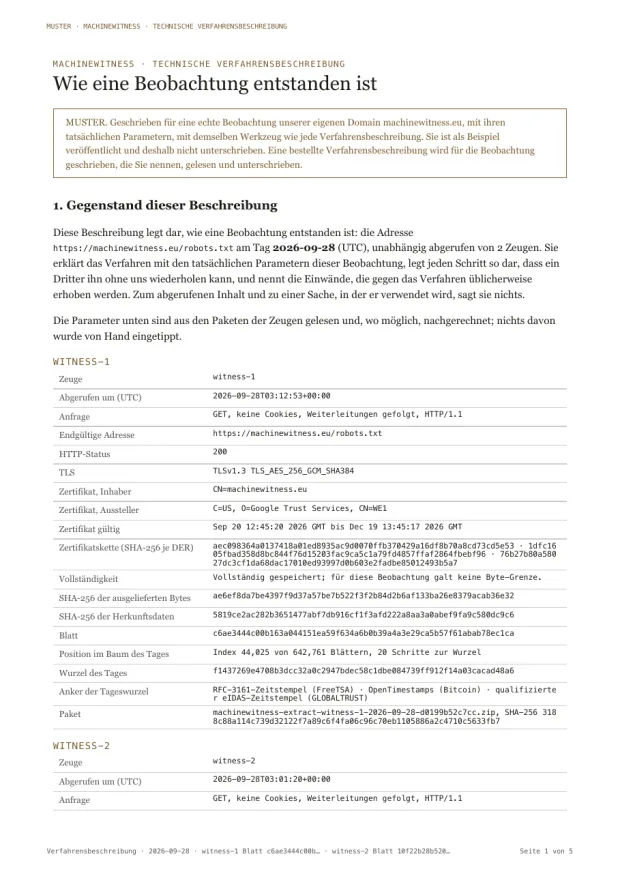 Musterseite: der Gegenstand der Verfahrensbeschreibung mit den Parametern der Beobachtung, wie der erste Zeuge sie erfasst hat.