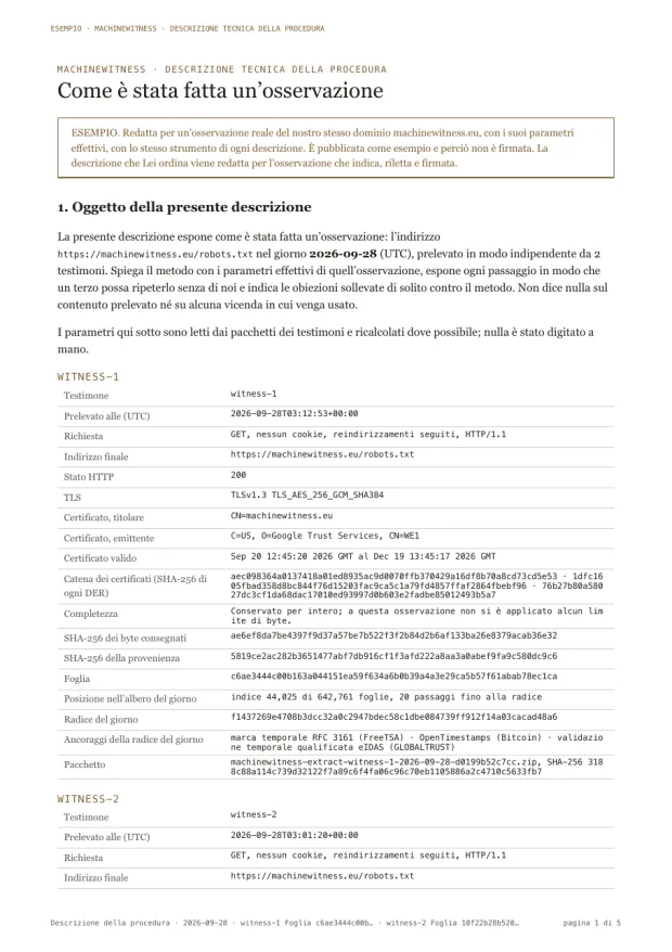 Pagina di esempio: l'oggetto della descrizione, con i parametri dell'osservazione come li ha registrati il primo testimone.